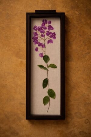 Bougainvillea Tray